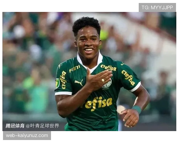 恩德里克在帕尔梅拉斯时期的早期荣誉与成就解析