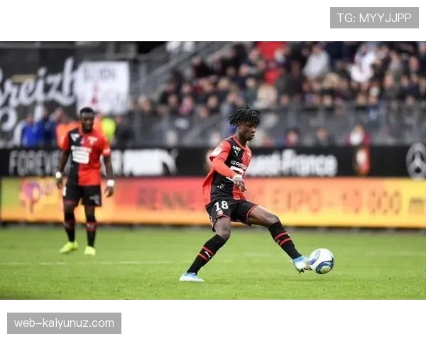 杜埃与卡马文加：雷恩中场传承下的角色分化与功能差异